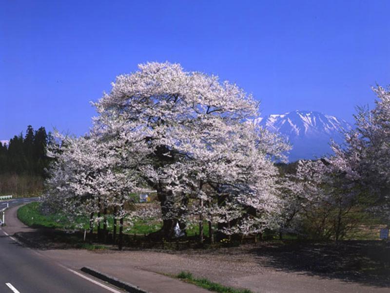 Onsen Minsyuku Akebonosou Morioka Exterior foto